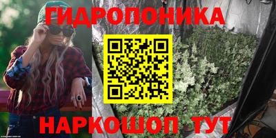 метадон Гусь-Хрустальный